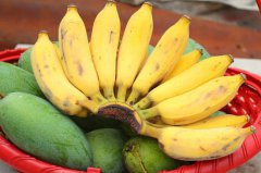 香蕉这种水果多吃对身体有何益处？