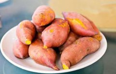 红薯发芽还能吃吗？谈红薯的营养价值