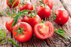 为什么吃番茄可以减肥？快来了解一下